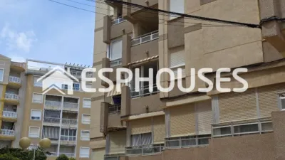 Apartment in Guardamar del Segura photo 19