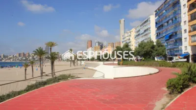 Penthouse in Benidorm photo 28