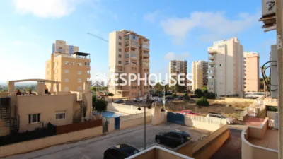 Apartment in Guardamar del Segura photo 11