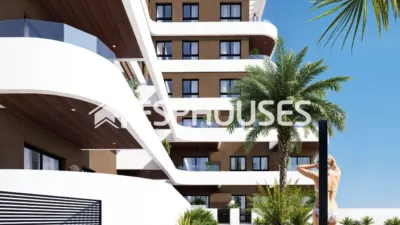 Apartment in Guardamar del Segura photo 7