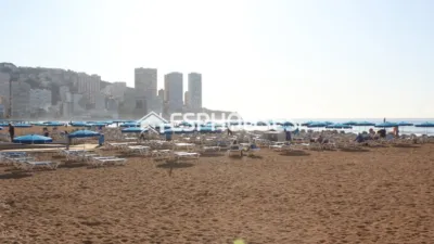 Apartment in Benidorm photo 26