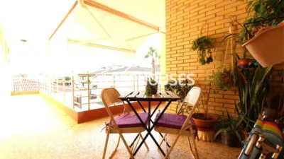 Apartment in Guardamar del Segura photo 5