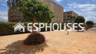 Apartment in Guardamar del Segura photo 20