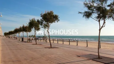 Apartment in Guardamar del Segura photo 12