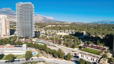 Apartment in Benidorm photo 8