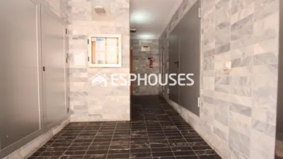 Apartment in Guardamar del Segura photo 14