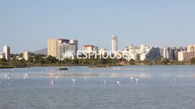 House in Calpe - Calp photo 29