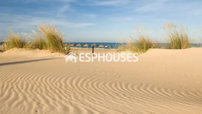 Apartment in Guardamar del Segura photo 9