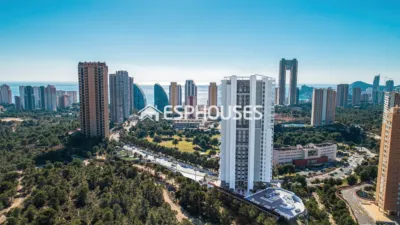 Apartment in Benidorm photo 7