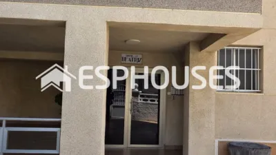 Apartment in Guardamar del Segura photo 9