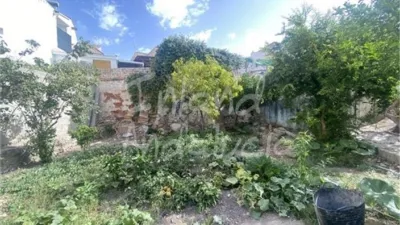 House in Alcaudete photo 3