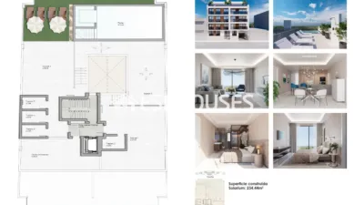 Apartment in Guardamar del Segura photo 29