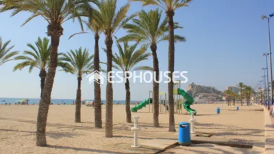 Apartment in Benidorm photo 22