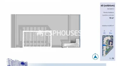 Penthouse in Guardamar del Segura photo 8
