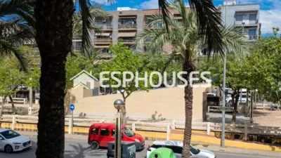 Apartment in Elx - Elche photo 14