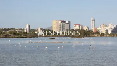 House in Calpe - Calp photo 28