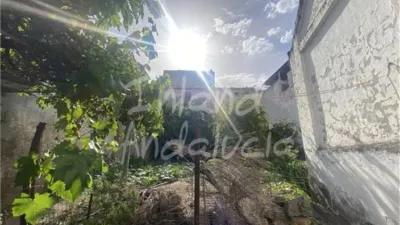 House in Alcaudete photo 16