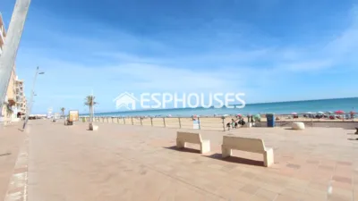 Apartment in Guardamar del Segura photo 17