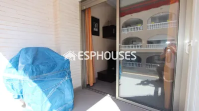 Apartment in Guardamar del Segura photo 7