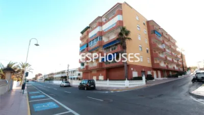 Apartment in Guardamar del Segura photo 3
