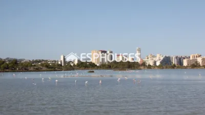 House in Calpe - Calp photo 27