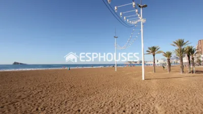 Apartment in Benidorm photo 25
