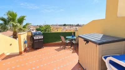 Apartment in Algorfa photo 18