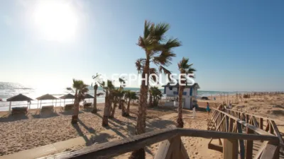 Apartment in Guardamar del Segura photo 20