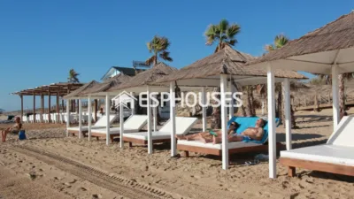Apartment in Guardamar del Segura photo 16
