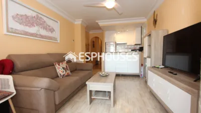 Apartment in Guardamar del Segura photo 3