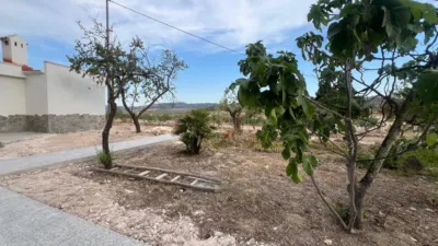 House in La Solana photo 11