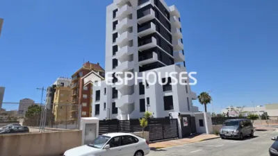 Apartment in Guardamar del Segura photo 35