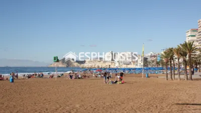 Apartment in Benidorm photo 28