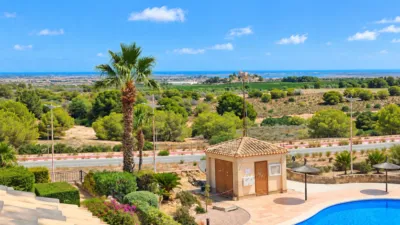 Apartment in Algorfa photo 19
