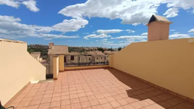Apartment in Algorfa photo 26