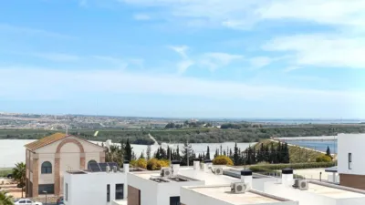 House in Algorfa photo 36
