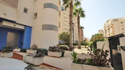 Apartment in Guardamar del Segura photo 26