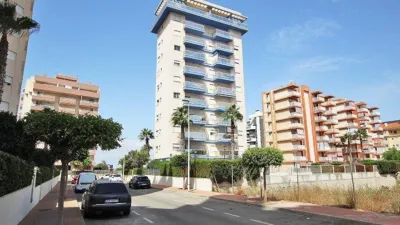 Apartment in Guardamar del Segura photo 29