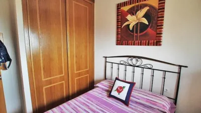 Apartment in Guardamar del Segura photo 15