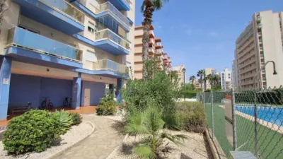 Apartment in Guardamar del Segura photo 30