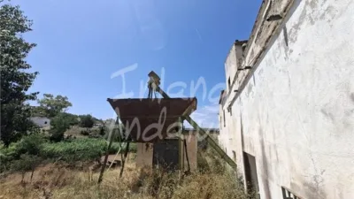 Rustic Finca in Alcaucín photo 11
