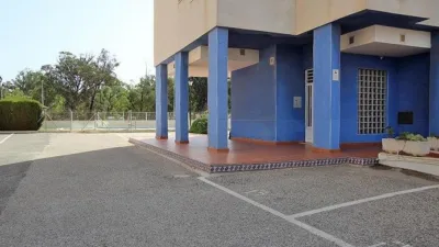 Apartment in Guardamar del Segura photo 27