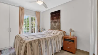 Apartment in Cabo Roig-La Zenia-La Regia photo 6