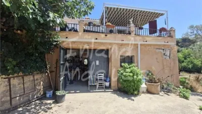 Rustic Finca in Alcaucín photo 8