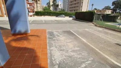 Apartment in Guardamar del Segura photo 25