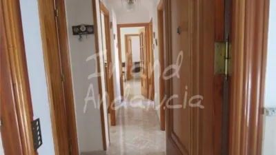 Apartment in Martos photo 5