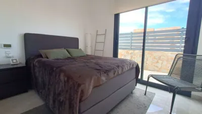 House in Algorfa photo 15
