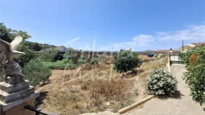 Rustic Finca in Alcaucín photo 12