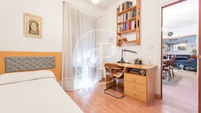 Apartment in Palacio photo 20