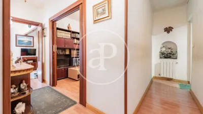 Apartment in Palacio photo 28